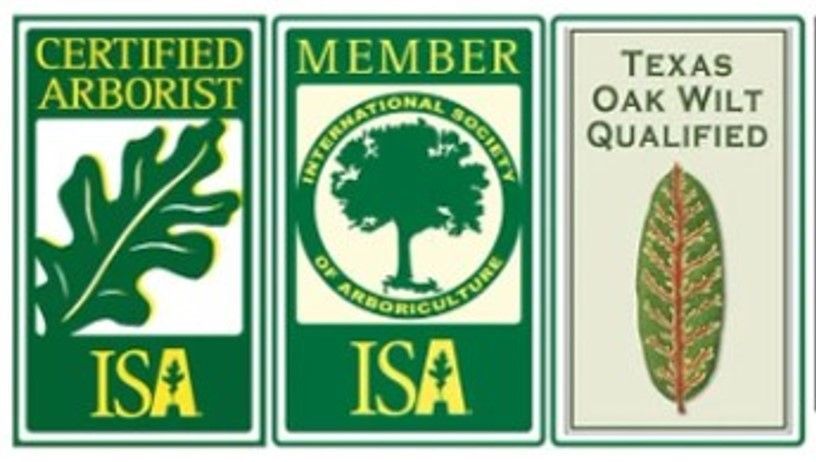 Three logos for certified arborist member ISA and Texas Oak Wilt Qualified.