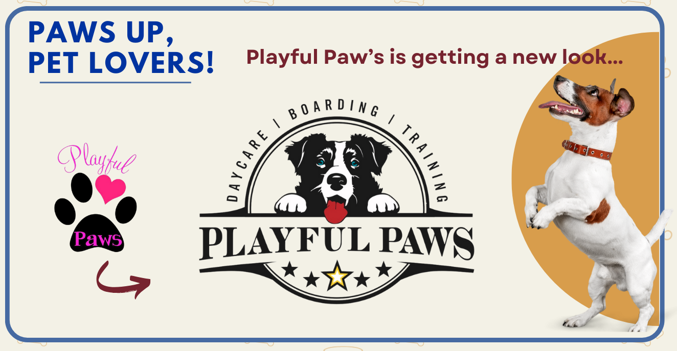 Playful Paws - Logo