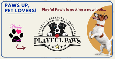 Playful Paws - Logo