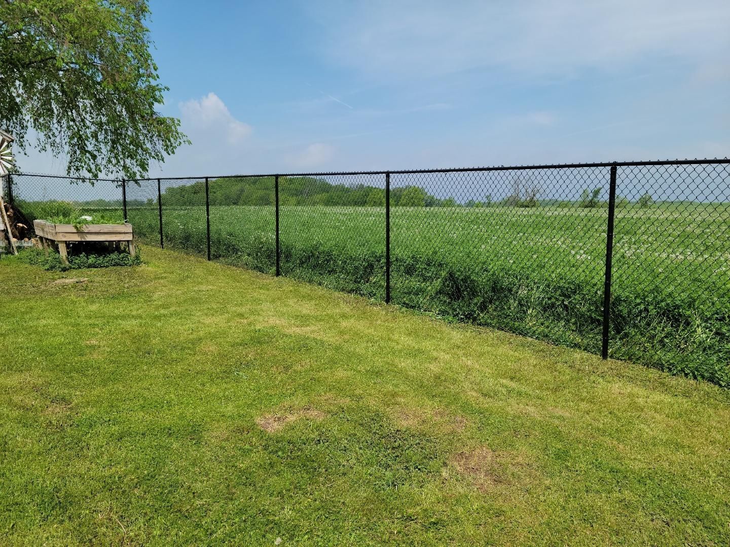 A chain link fence surrounds a garden bed in a yard.