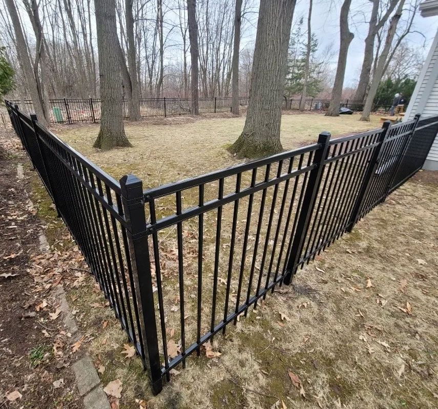 Black metal fence encloses a backyard with trees and fallen leaves.