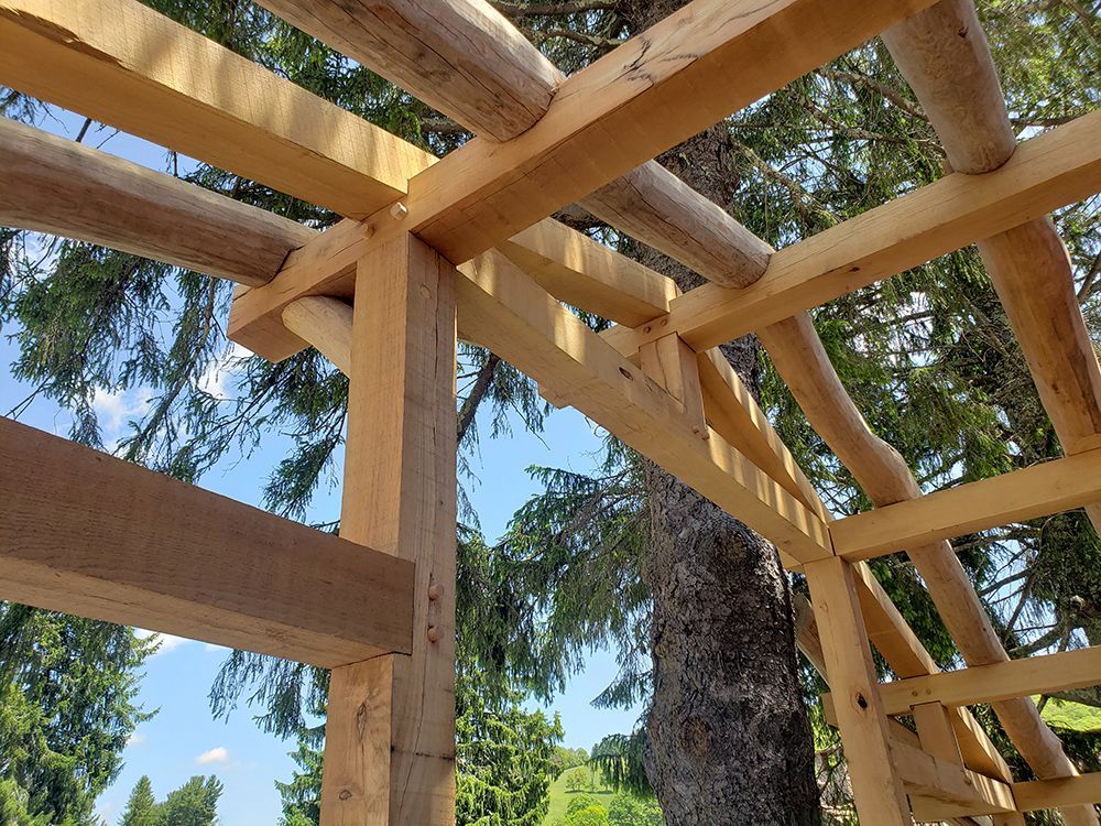 Wooden frame construction, beams and logs, against a blue sky and trees.