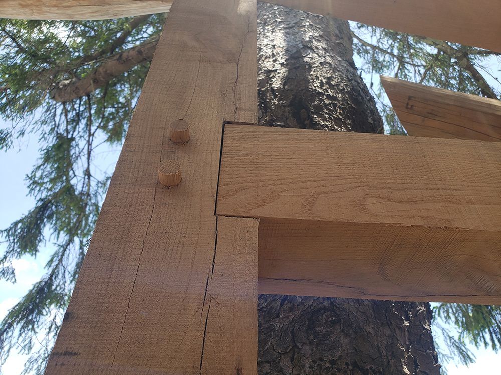 Wooden timber frame with visible joints, bolted together, set against a tree trunk and foliage.