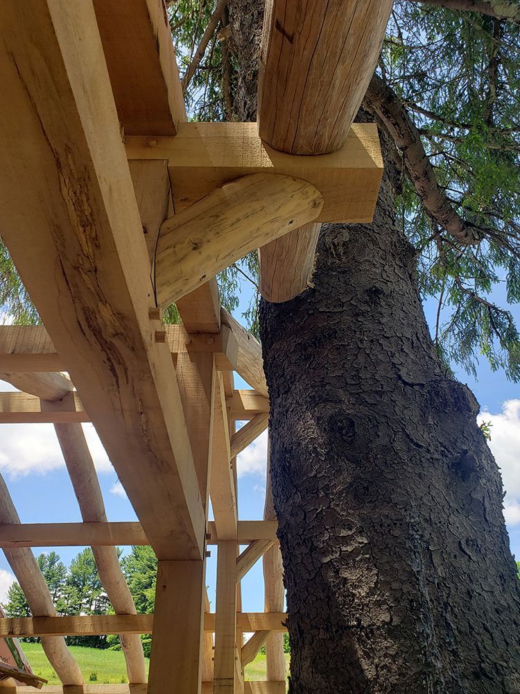 Wooden treehouse construction, part of roof frame and tree trunk visible against a blue sky.