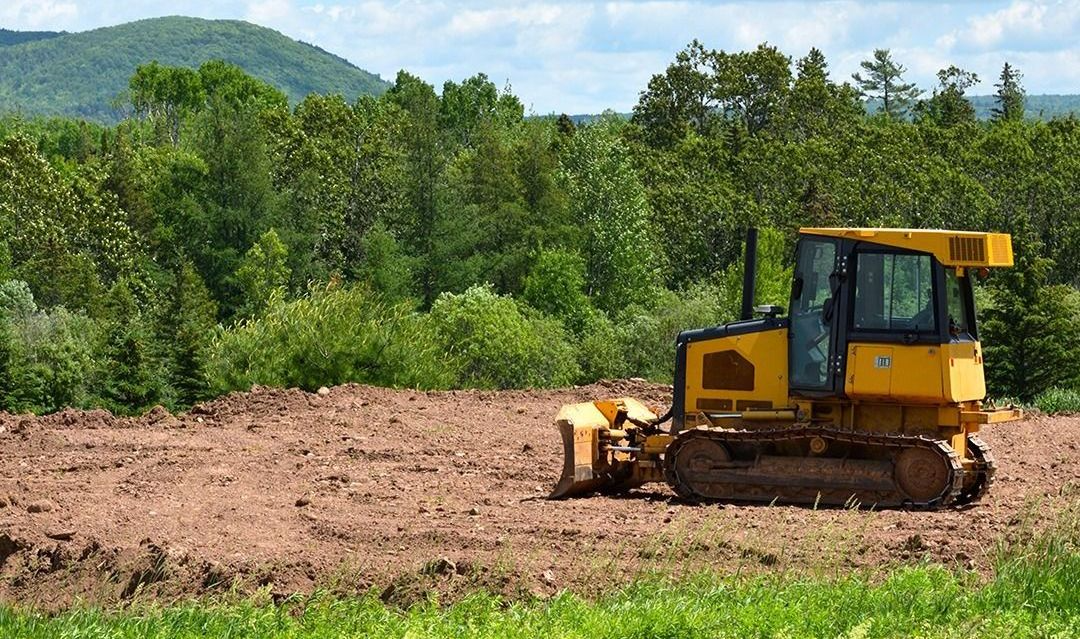 Yellow bulldozer clearing land with forest background.