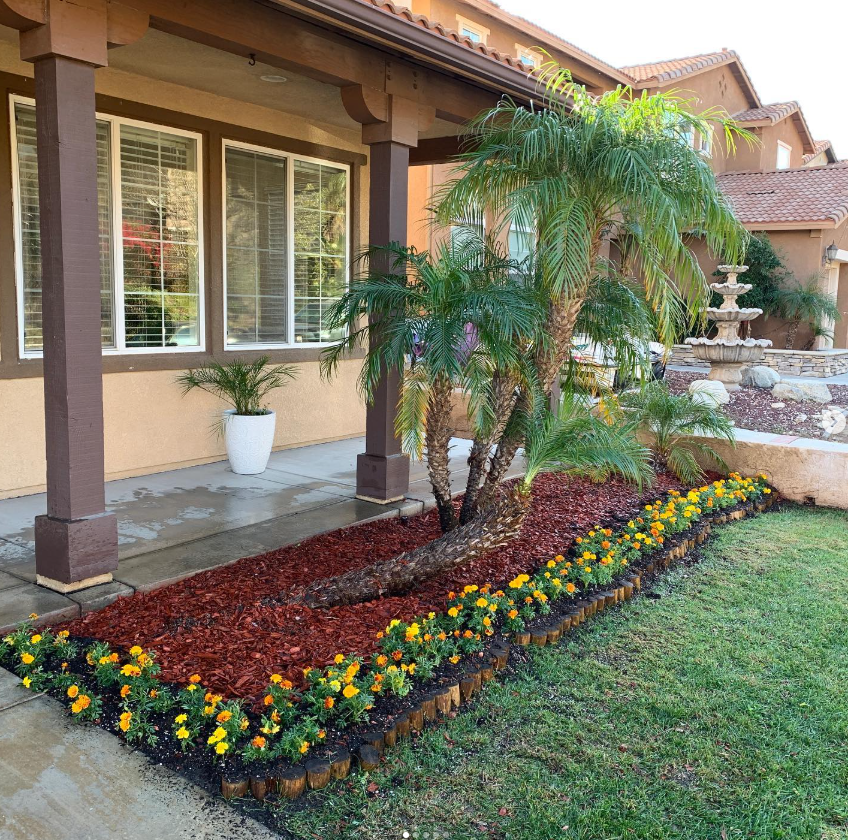 A house with a palm tree and flowers in front of it