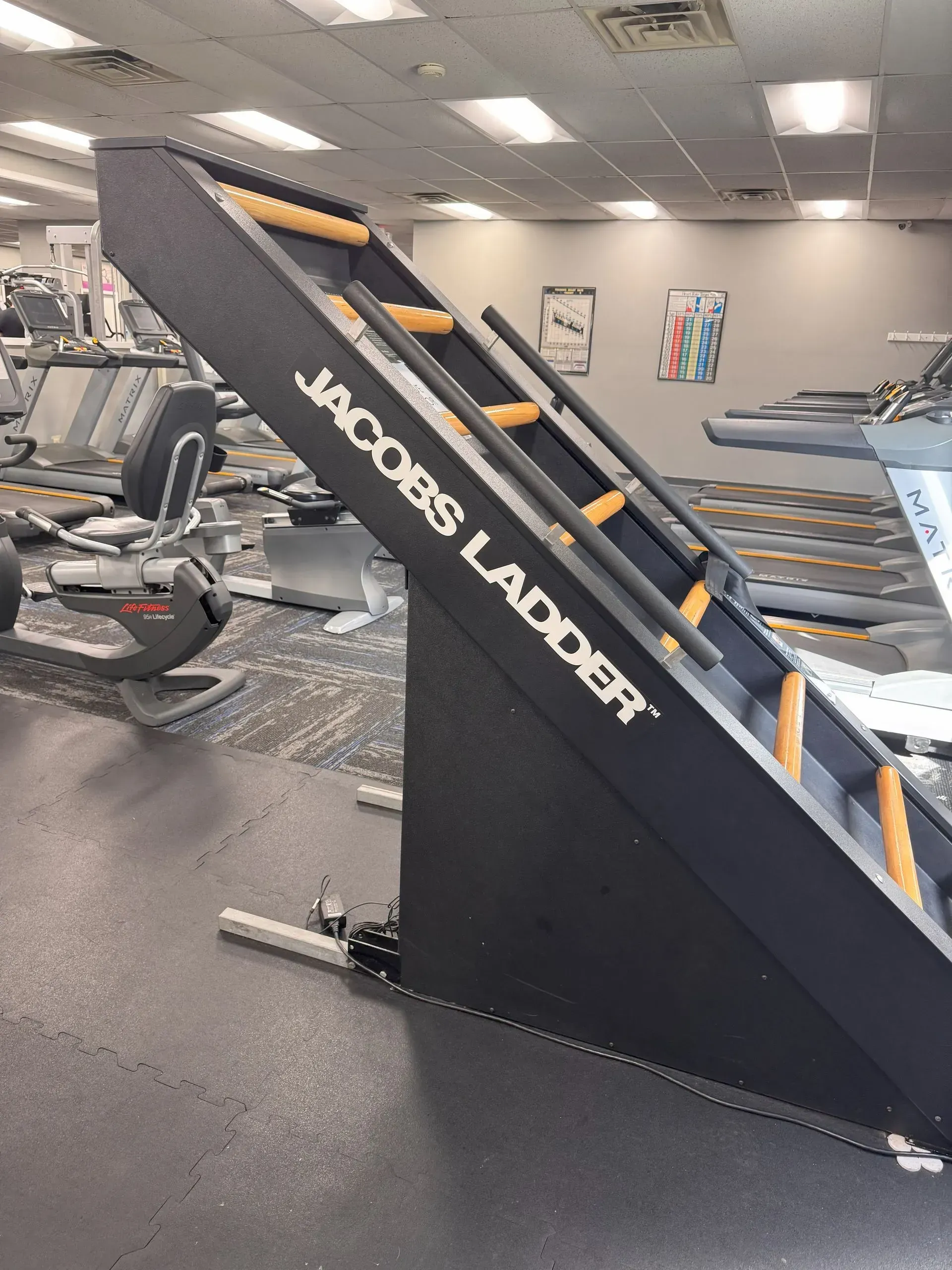 Jacob's Ladder exercise machine in a gym. Black frame with orange rungs, angled against other equipment.