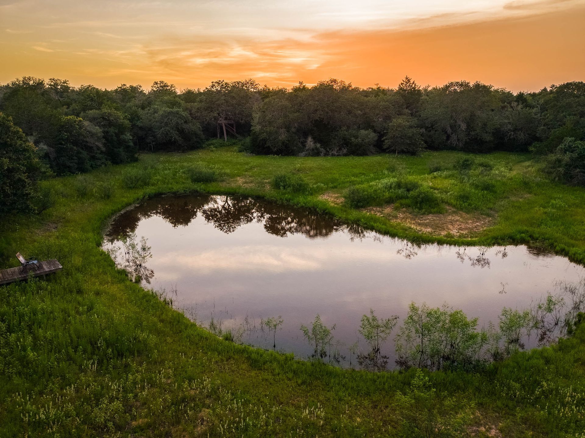 Small heart-shaped pond surrounded by green grass and trees at sunset
