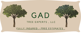 GAD-Tree-Experts--LLC-logo
