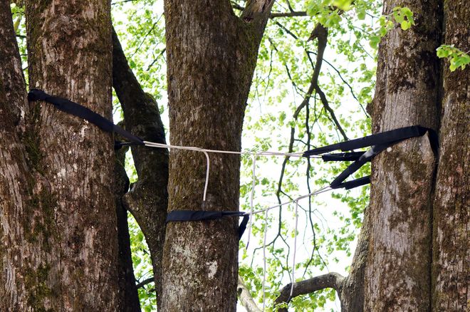 GAD-tree-experts