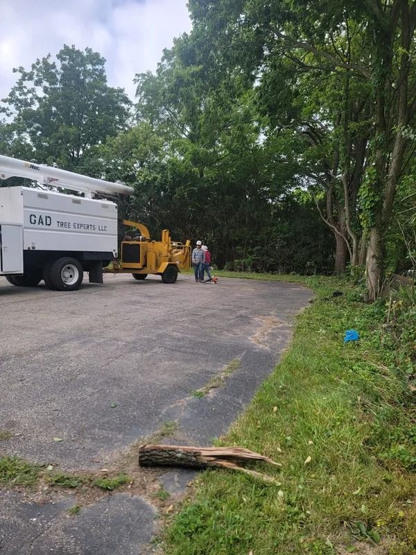 Tree service truck and chipper on asphalt, workers stand near. Log on grass. Trees in background.