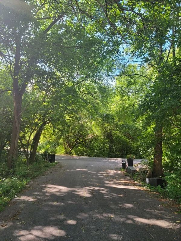 Paved pathway through a lush, green forest. Sunlight filters through the trees, illuminating the path ahead.