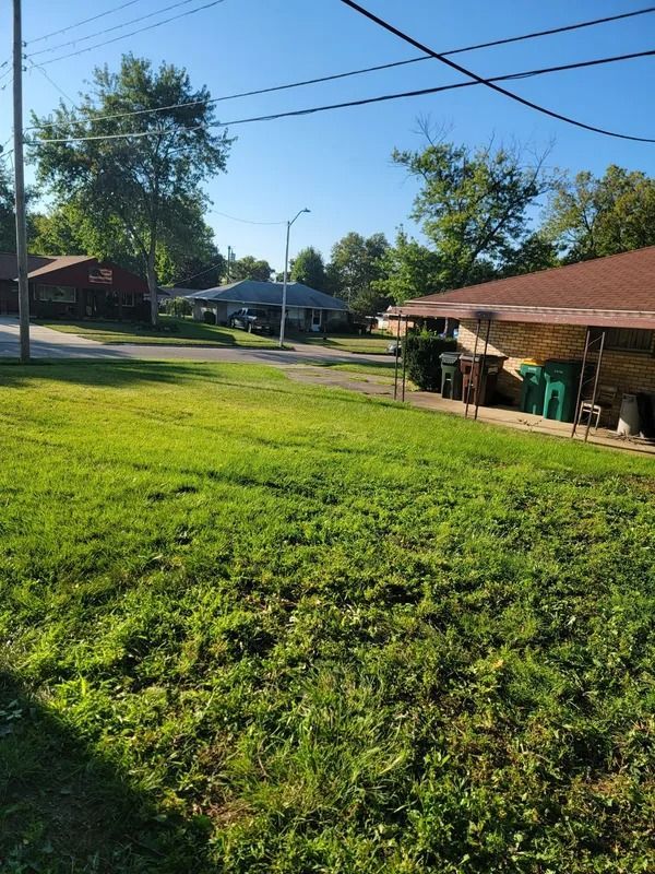 Green grassy yard with houses and trees on a sunny day.