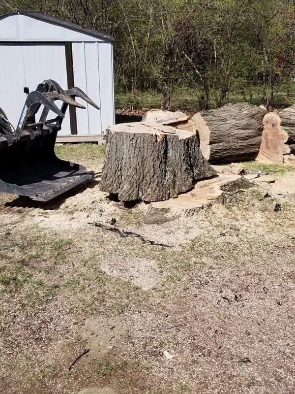 A tree stump with sawdust surrounded by logs and a tractor bucket in a yard next to a shed.