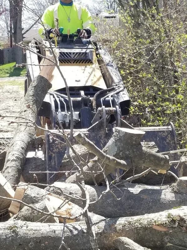 Man operating a skid steer with a tree shear, cutting logs in a wooded area.