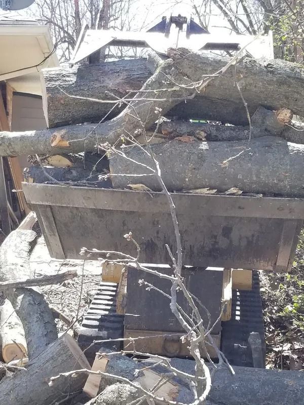A small construction vehicle with a bucket full of tree branches and logs near a house.