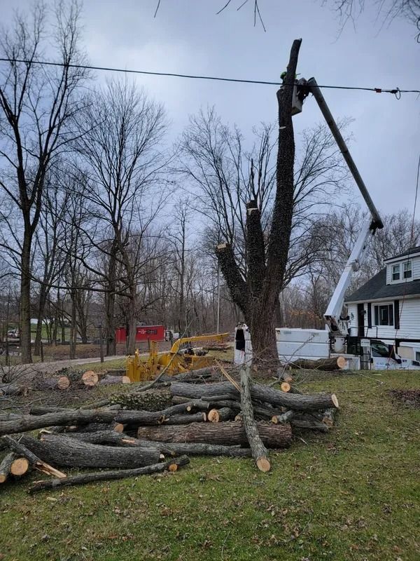 Tree being cut down near a house. Cut logs and an extended arm machine visible. Overcast day.