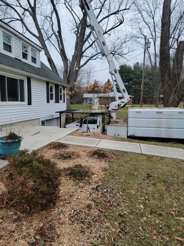 White house with a tree-trimming truck and lifted boom arm. Brown mulch and green grass in the yard.