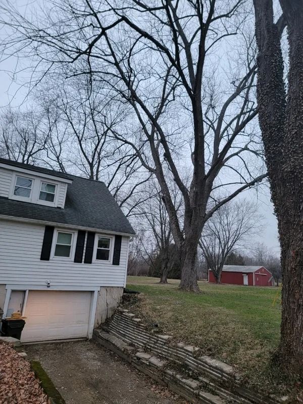 White house with black shutters, tall bare tree, and red barn on a cloudy day.