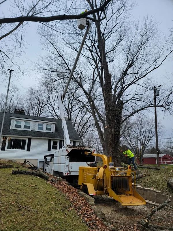 Tree service: truck with lift trimming a tall tree next to a white house; a worker operating a wood chipper.