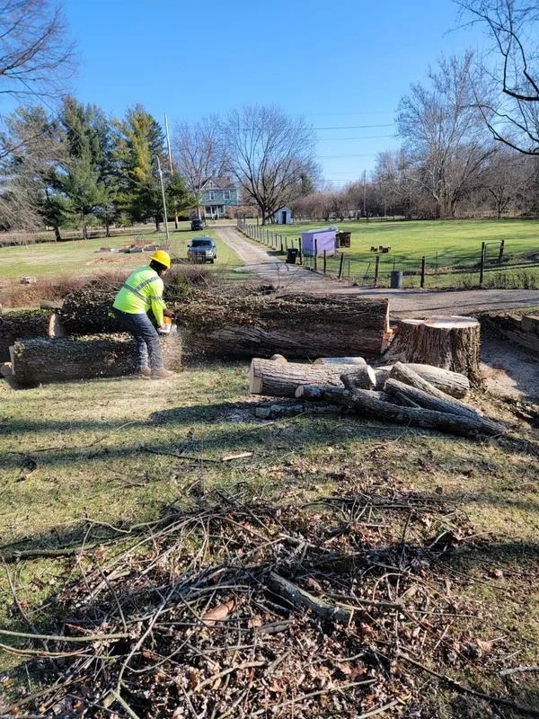 A person in safety vest using a chainsaw to cut a large log outdoors. Green grass, trees, and a dirt road.