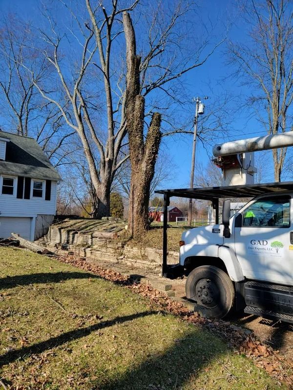 Tree trimming service at a house with a partially cut tree and utility truck on a sunny day.