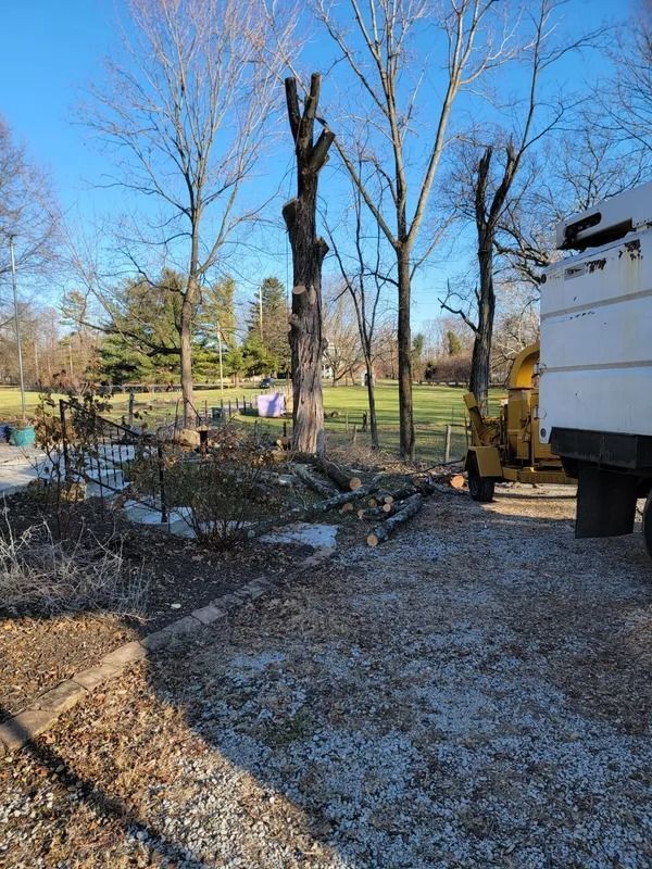 Partially cut tree with logs and a wood chipper on a gravel driveway in a yard.