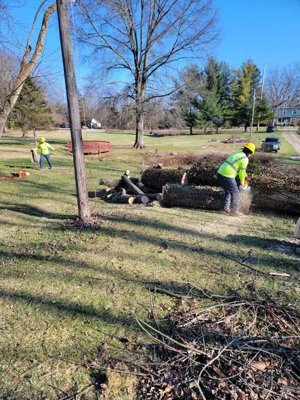 Two workers in yellow vests and hard hats cut logs in a grassy area near power lines.