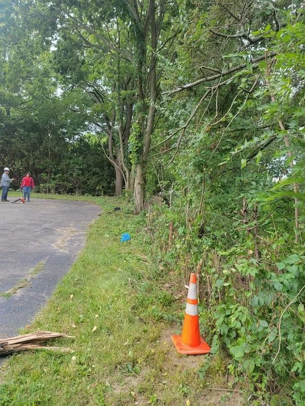 Orange traffic cone on grass beside a paved road. Trees and foliage border the road. Two people in the distance.