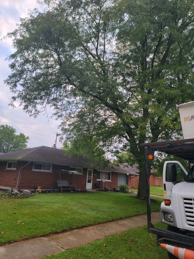 Large tree next to a house; tree service truck in the foreground, bucket extended.