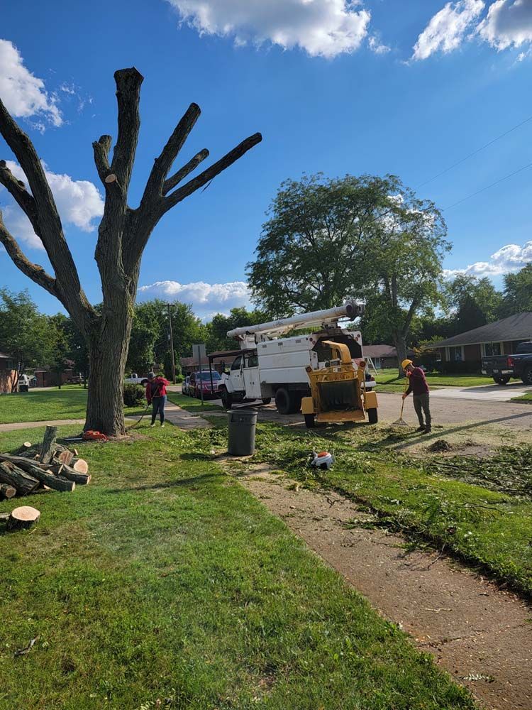 Tree trimming operation in a residential area; truck, chipper, workers, and a partially pruned tree.