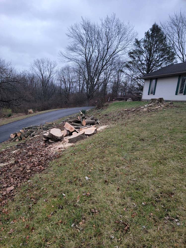 Cut logs and branches on a grassy hillside next to a driveway and house on a cloudy day.