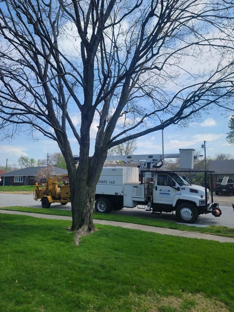 A tree service truck and wood chipper parked on a residential street next to a tree.