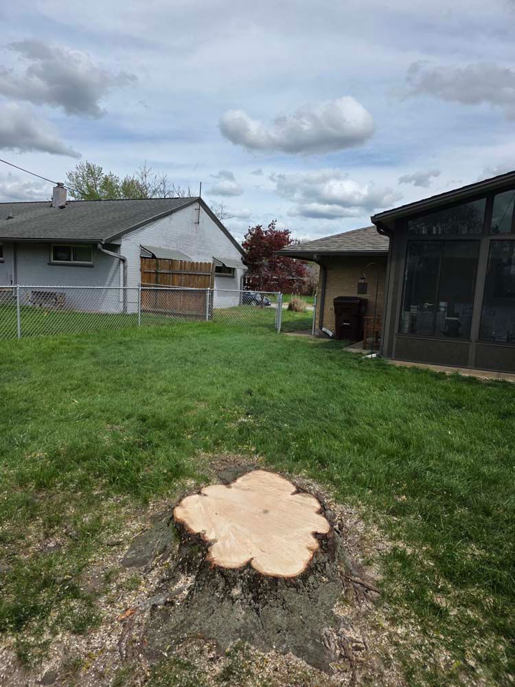 Tree stump in a grassy backyard with houses and a partly cloudy sky in the background.
