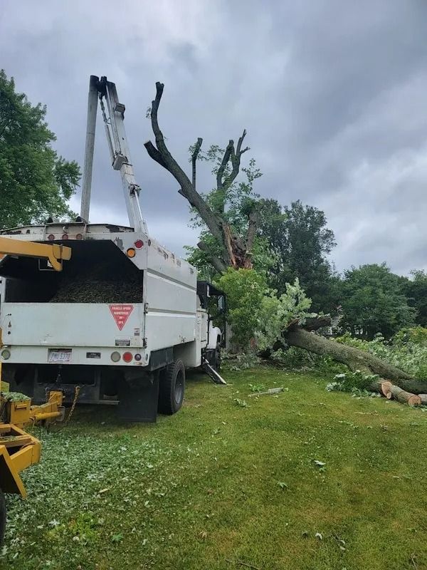 Tree service truck removing a large tree in a grassy yard under a cloudy sky.