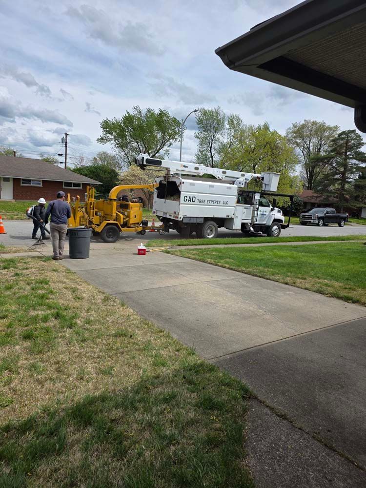 Tree service truck with chipper parked in a residential driveway. Workers in the background.