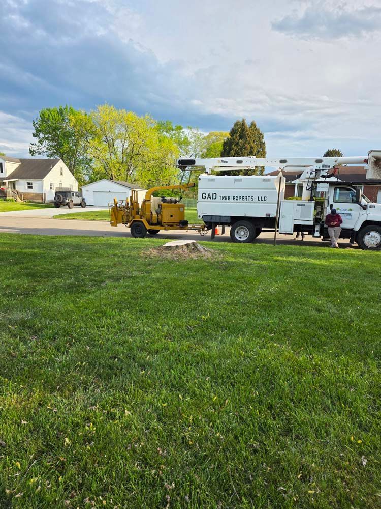 A tree stump next to a wood chipper and utility truck on a residential lawn under a cloudy sky.