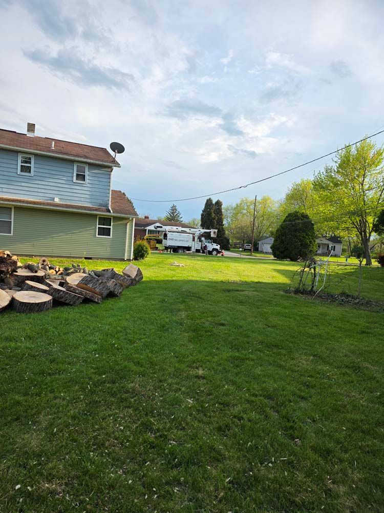 Backyard view with a light blue house, green lawn, tree trunks, and a white RV parked in the distance.