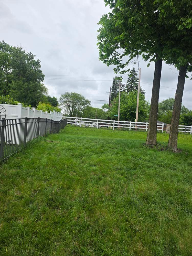 Green lawn with black and white fences, trees, and cloudy sky.