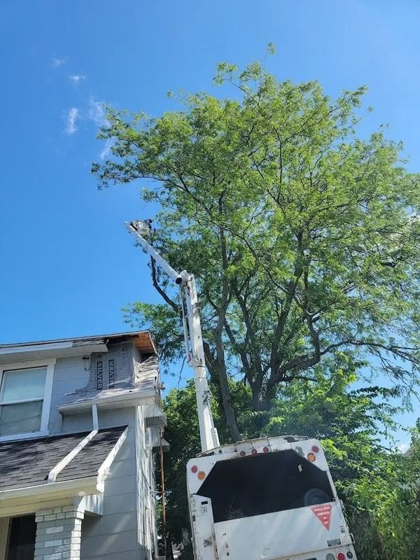 Tree trimming with a truck-mounted lift next to a house under a blue sky.