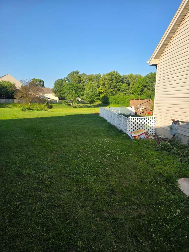 Lawn with white fence, trees, and house under a blue sky.