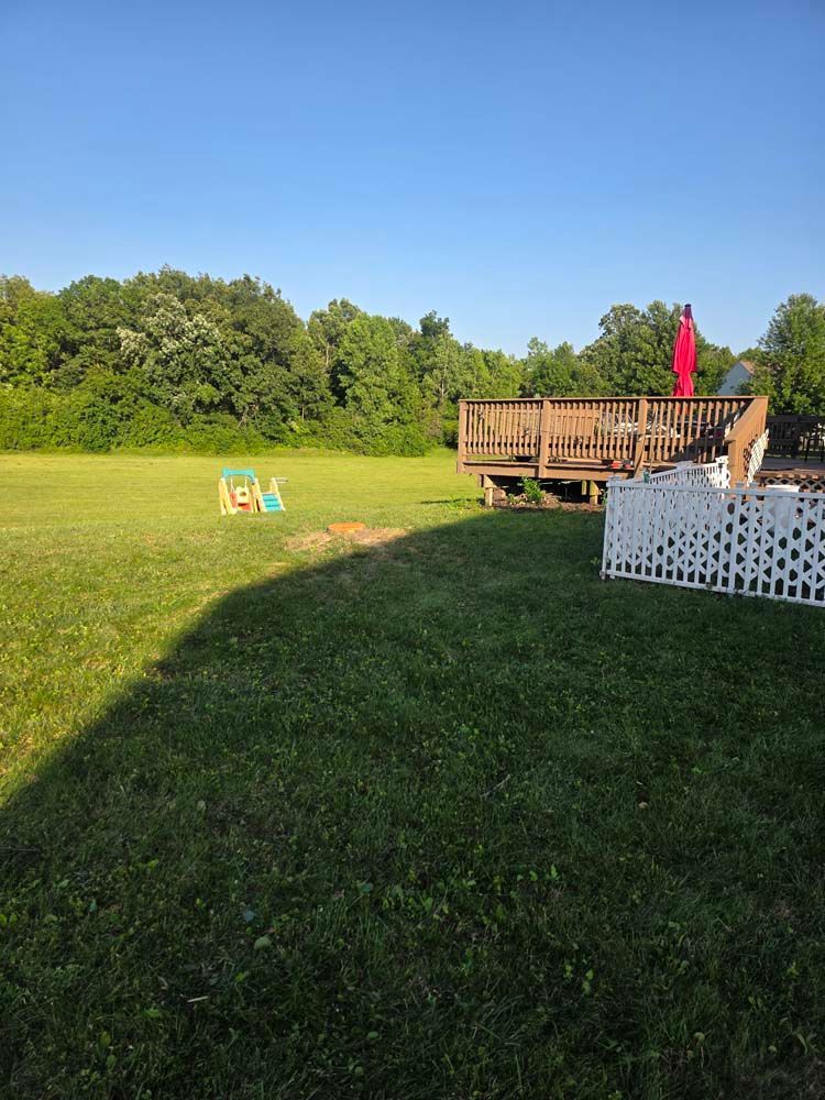 A person stands on a wooden deck in front of a green field. Trees and a blue sky are in the background.