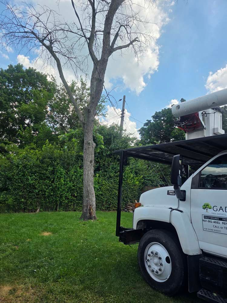 Tree service truck next to a tree with dead branches, under a partly cloudy blue sky.