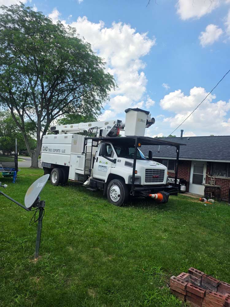 White tree service truck with a bucket lift parked on a grassy lawn under a partly cloudy sky.