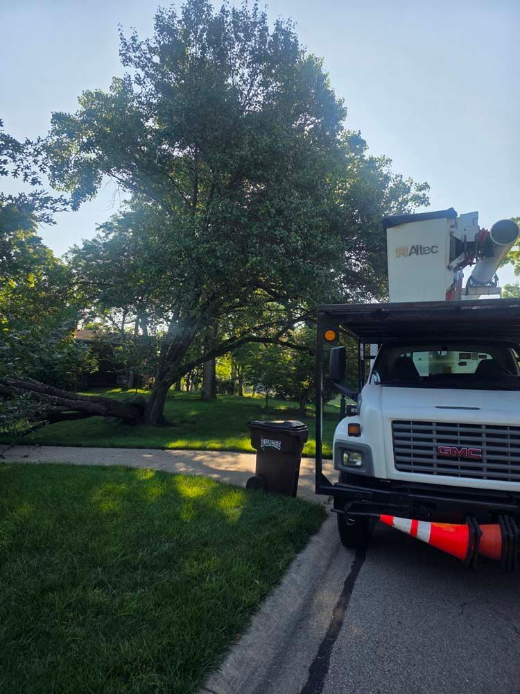Tree being trimmed by a worker in a bucket truck on a sunny residential street.