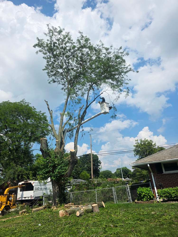 Tree trimming in progress; worker in lift trims branches under a partly cloudy sky.