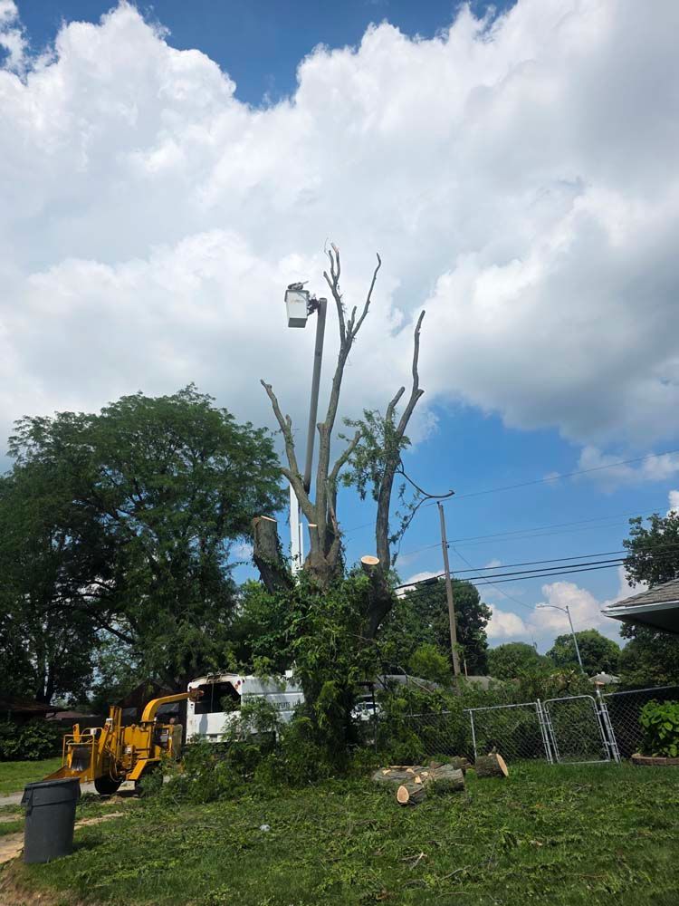 Tree being trimmed by a utility truck with a lift against a cloudy blue sky.