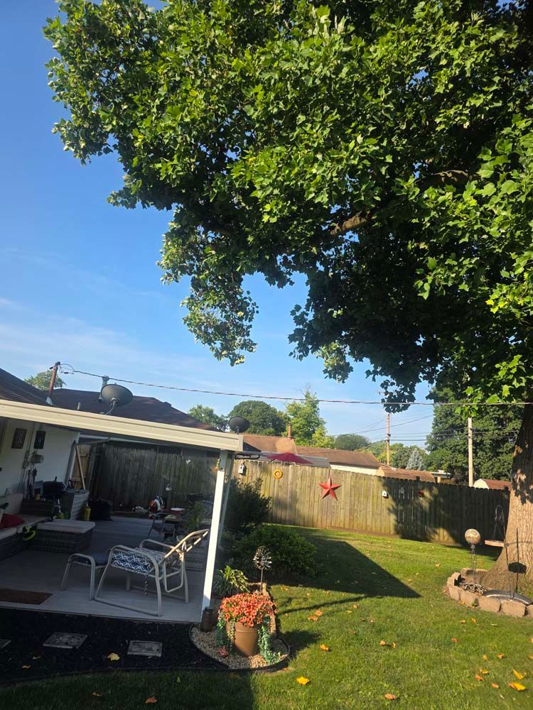Backyard with tree, patio furniture, and a wooden fence. Blue sky and green grass.