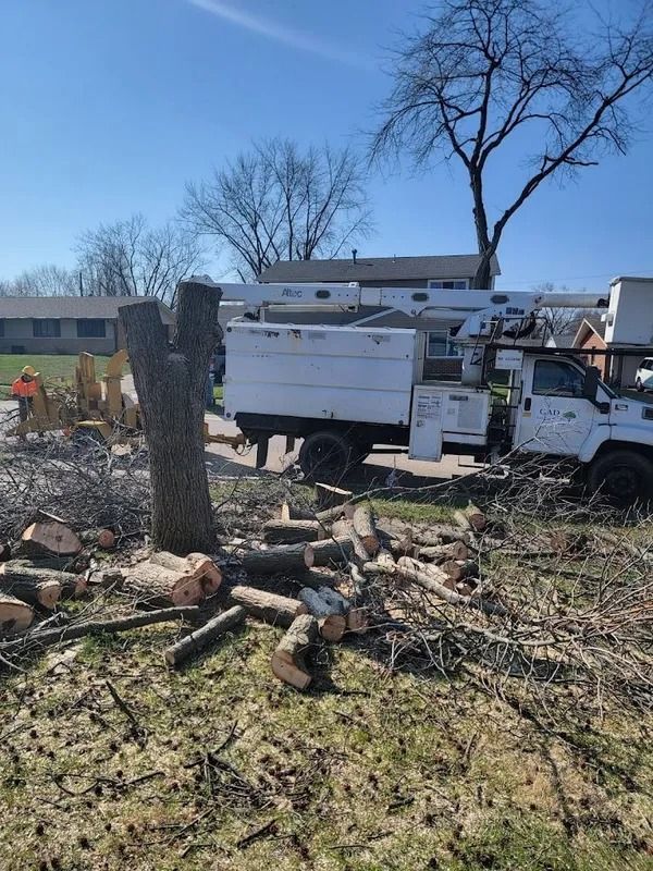 Tree removal, tree trunk with cut branches and a utility truck in front of a residential house.