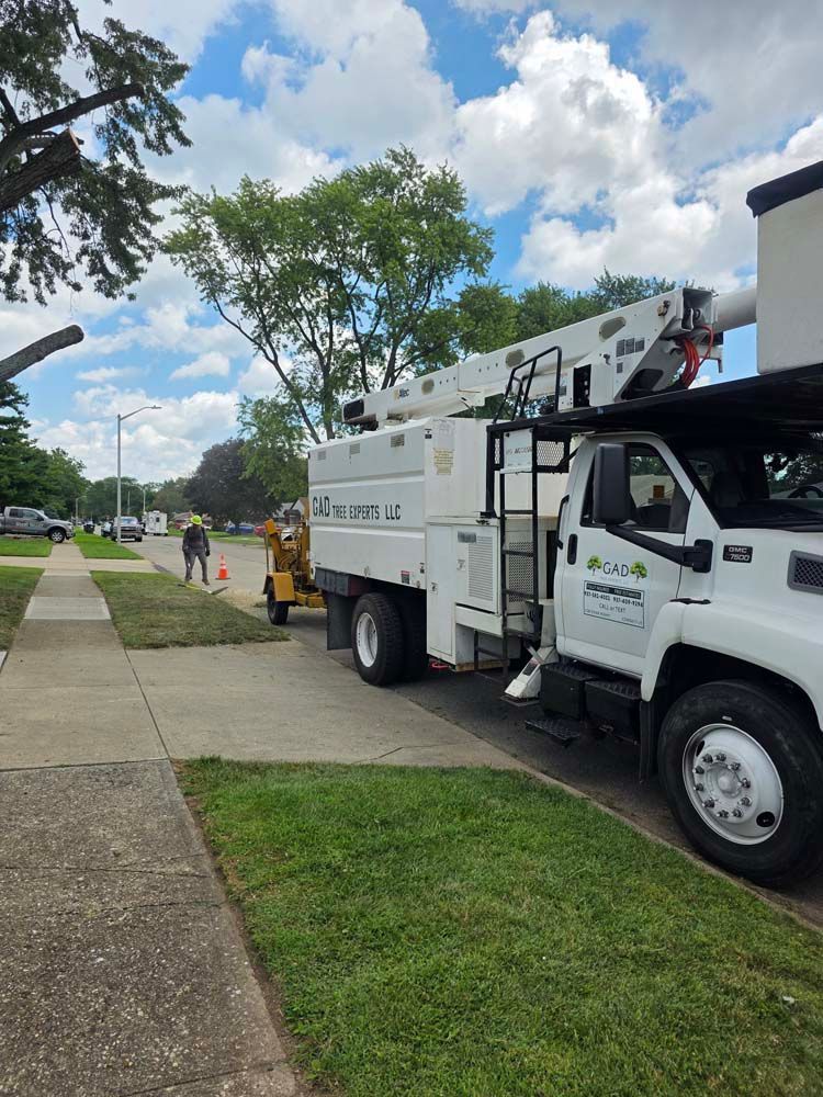 White tree service truck with extended lift parked on a residential street. A worker stands nearby.
